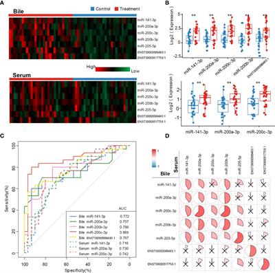 Bile-derived exosome noncoding RNAs as potential diagnostic and prognostic biomarkers for cholangiocarcinoma